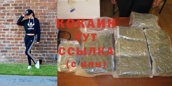 мяу мяу мука Болхов