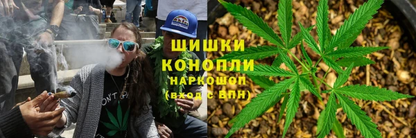 бошки Болотное